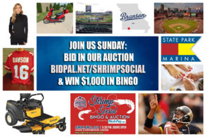 Auction collage copy